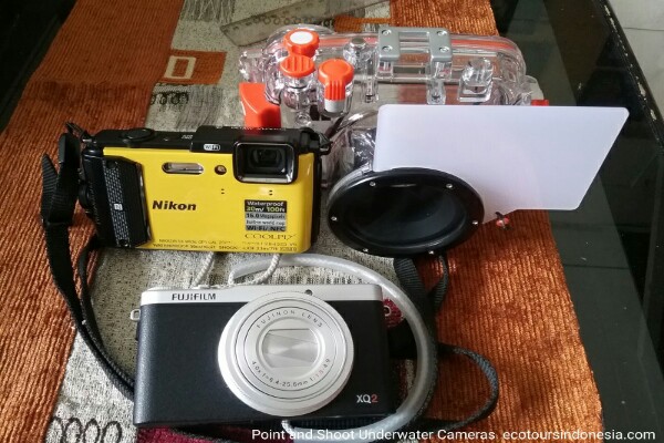Point ans Shoot Underwater Cameras