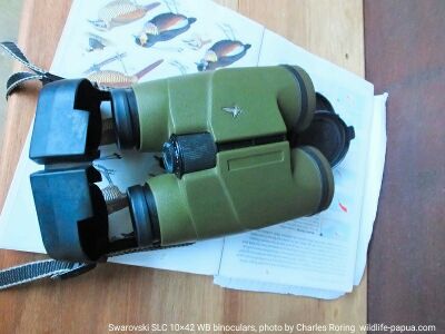 Swarovski SLC 10×42 WB birding binoculars.