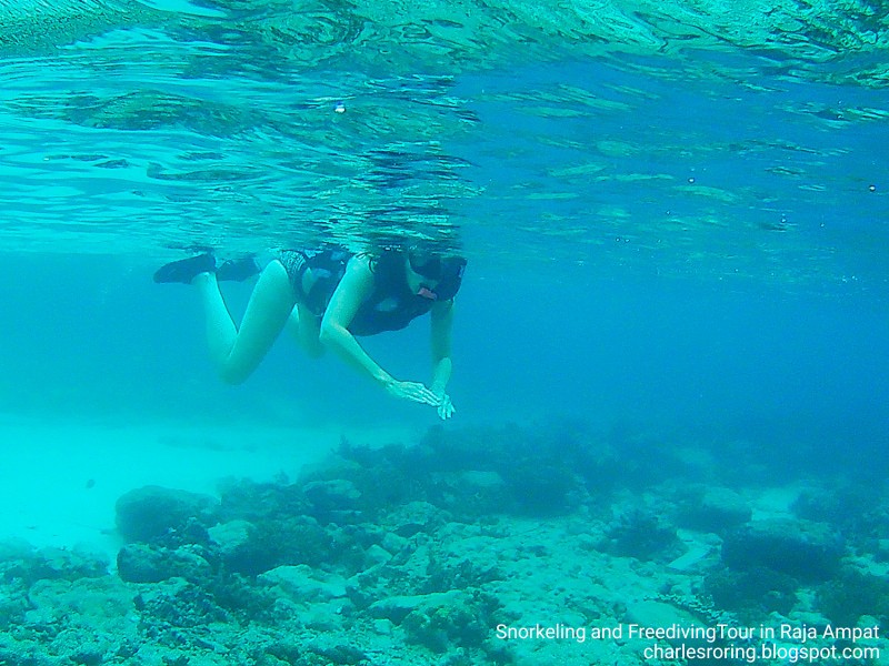 Solo traveler Dutch lady was snorkeling with Charles Roring in Raja Ampat