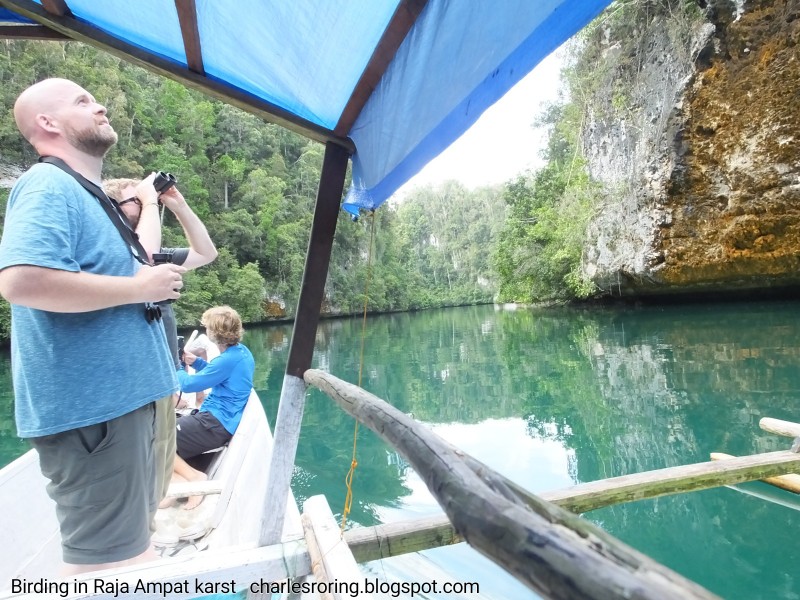 Birding at sea in Raja Ampat birding in Raja Ampat with American tourists in Kabui karst.