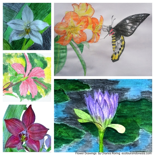 drawings of flowers
