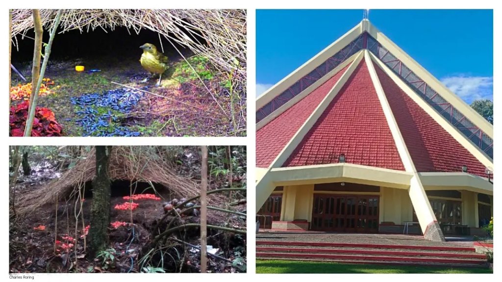 Catholic church in Sorong