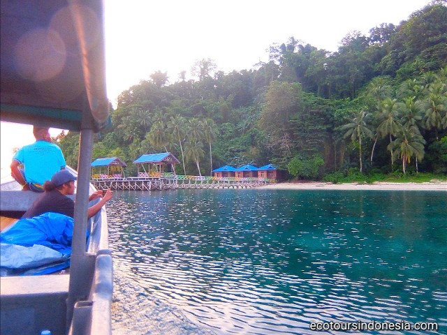 accommodation for tourists in national park of Cendrawasih bay Homestay for snorkeling tourists in Rariyau island of Wondama regency
