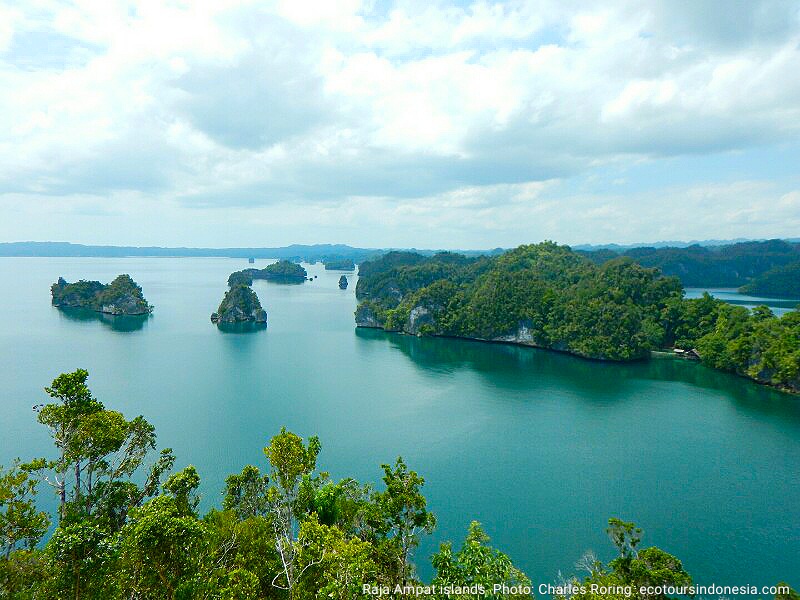 Raja Ampat seascape Wawiyai Karst in Kabui Bay