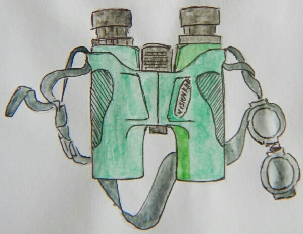 watercolour sketch of birdwatching binoculars