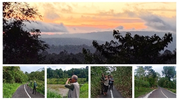 Birding site in Sonder of Minahasa Peninsula