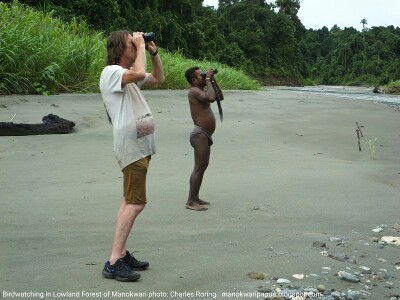 Birdwatching in Lowland Forest of Manokwari