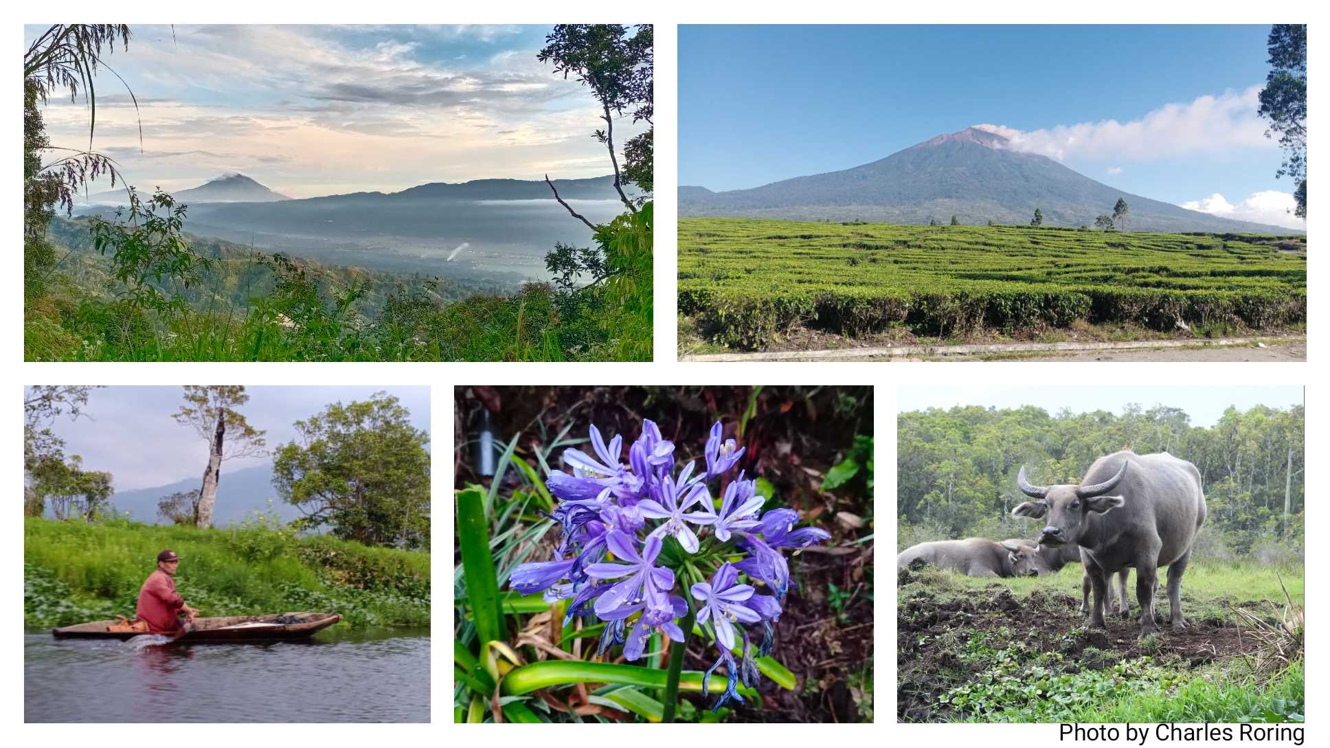 Wildlife Tour in Sumatra kerinci Seblat National Park