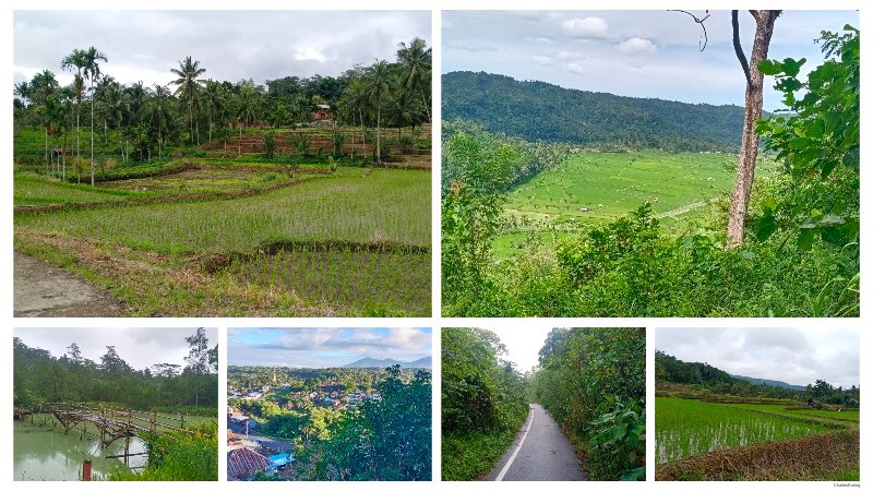 Minahasa Highland Tour mountain forest paddy field and hot spring in Minahasa
