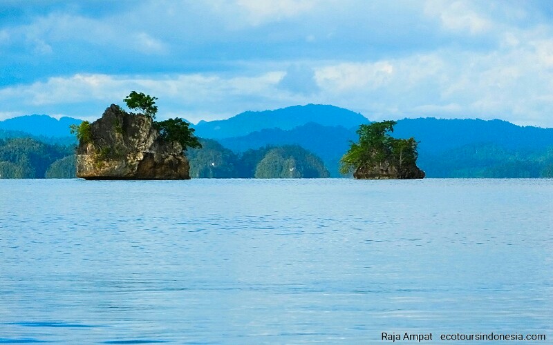 Marine Landscape of Raja Ampat karst in Kabui bay
