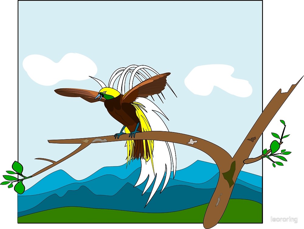 Vector illustration of paradise bird