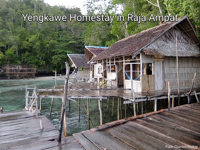 Akomodasi di Raja Ampat Penginapan Rumahan di Pulau Waigeo, Raja Ampat