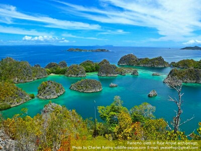 Raja Ampat Karst Piaynemo karst in Raja Ampat of Indonesia.