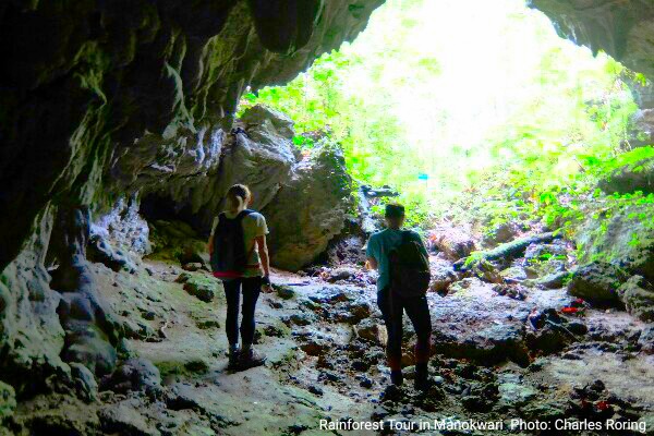 Rainforest Tour in Manokwari Hill
