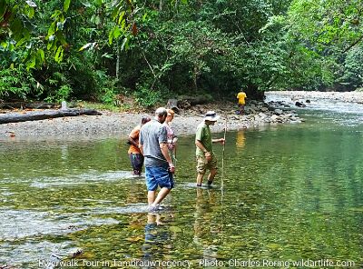 Riverwalk Tour in Tambrauw Mountains