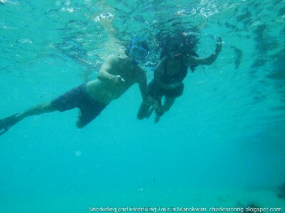 snorkelers in manokwari