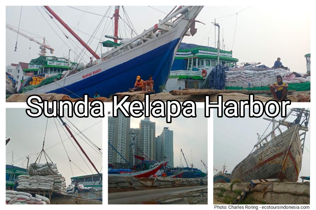 Sunda Kelapa Harbor