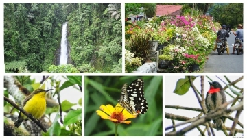 Minahasa Highland Tour waterfall, flowers and butterfly in Tincep village