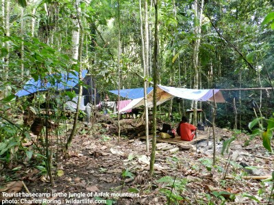 basecamp for tourists in the forest of Arfak range.