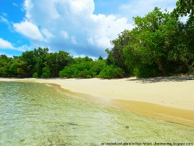 Raja Ampat beach White sandy beach in uninhabited island of Raja Ampat