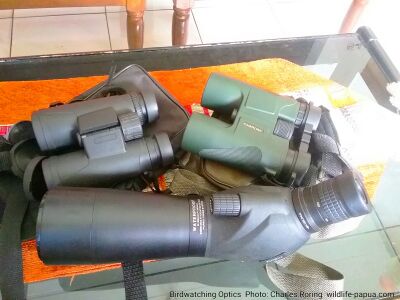 affordable binoculars for birdwatchers Visionking 10×42 mm birding binoculars.