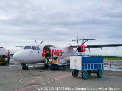 Turboprop airplane ATR 72 of Wings Air at Domine Eduard Osok airport of Sorong city, West Papua